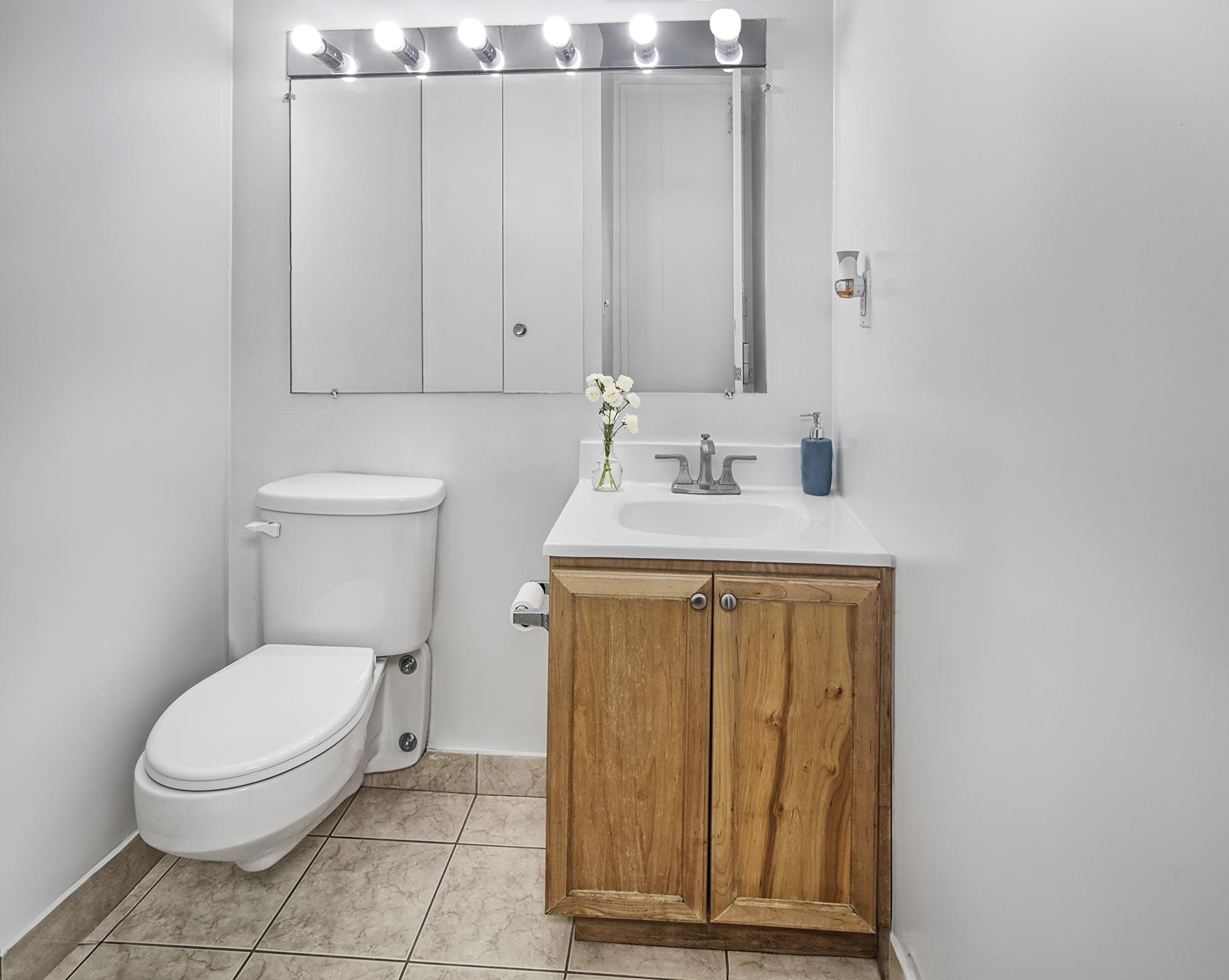7000 Blvd East #28H, Guttenberg, New Jersey image 6