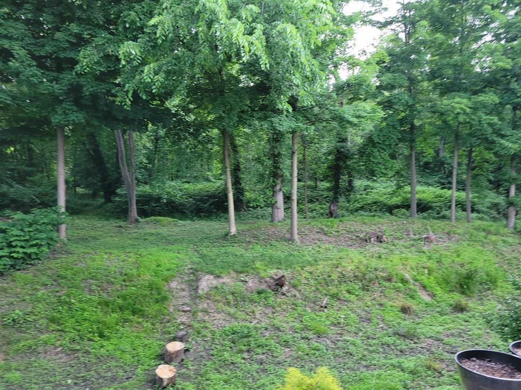 243 Paramus Rd, Paramus, New Jersey image 20