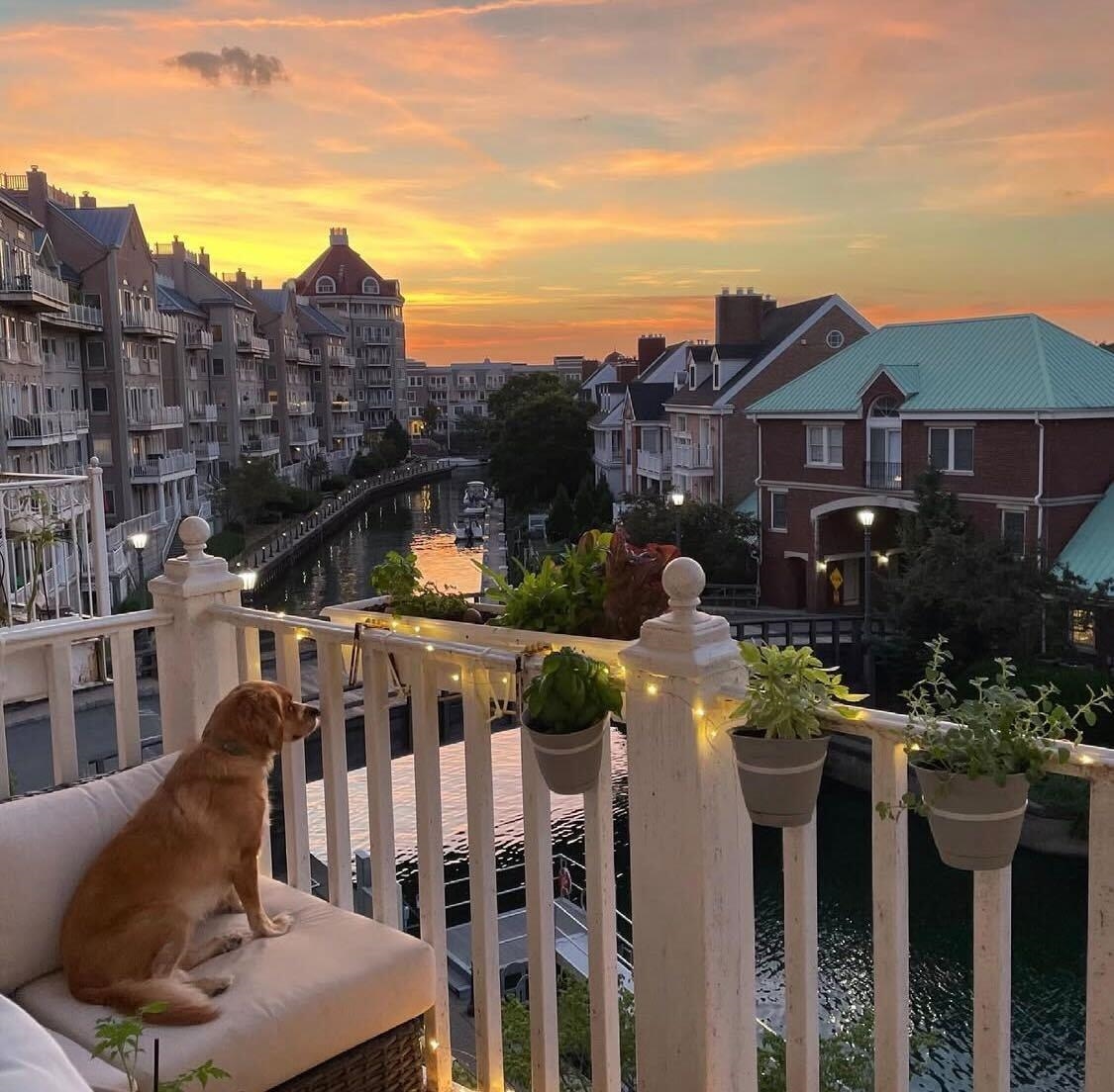 111 SHEARWATER CT EAST 34