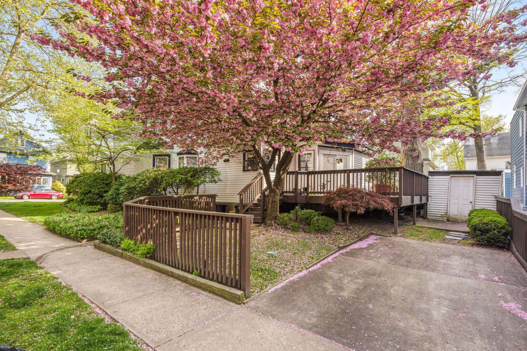 19 Avenue B, Bayonne, New Jersey image 16