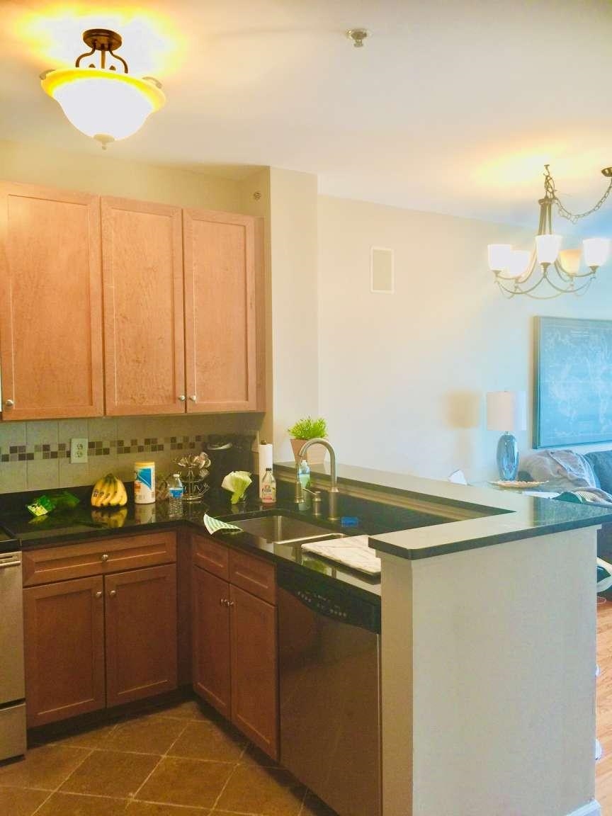 26 Avenue At Port Imperial #316, West New York, New Jersey image 4