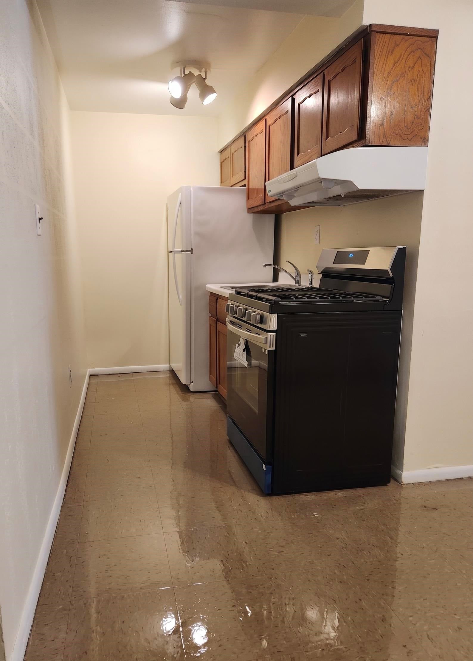 Search Homes 3 119 OAKLAND AVE 1