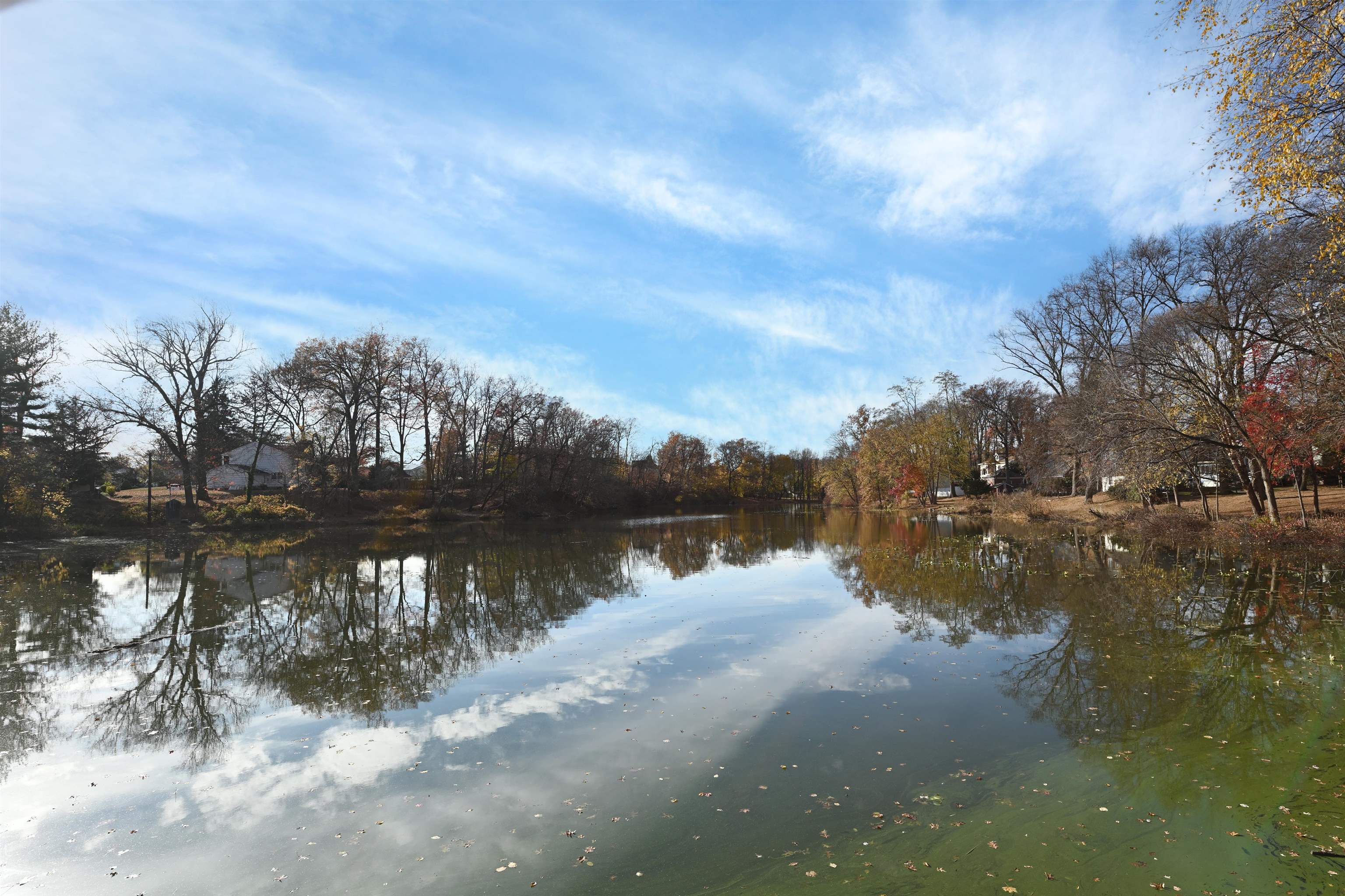 1138 Elm Terrace, RAHWAY, New Jersey image 31