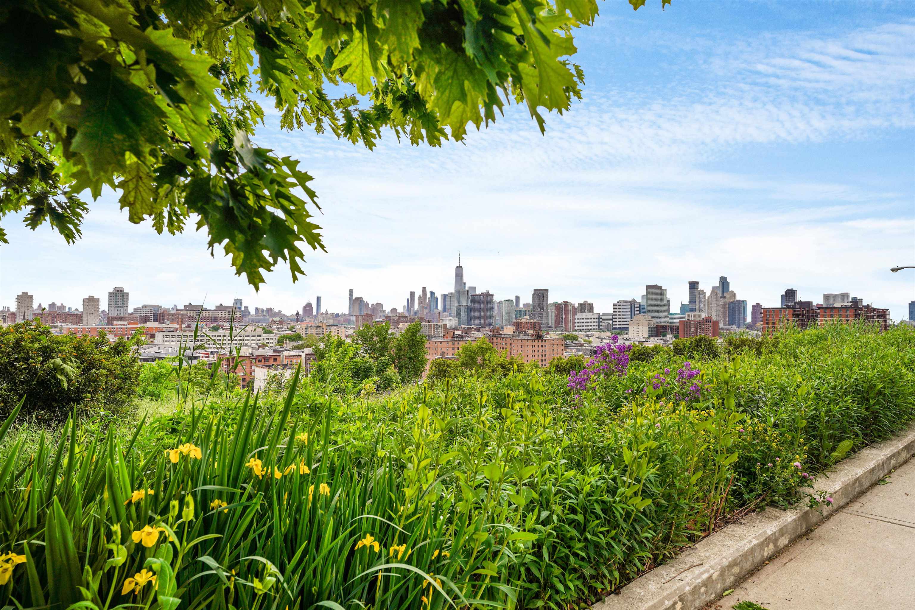 238 Ogden Ave #6, Jersey City, New Jersey image 32
