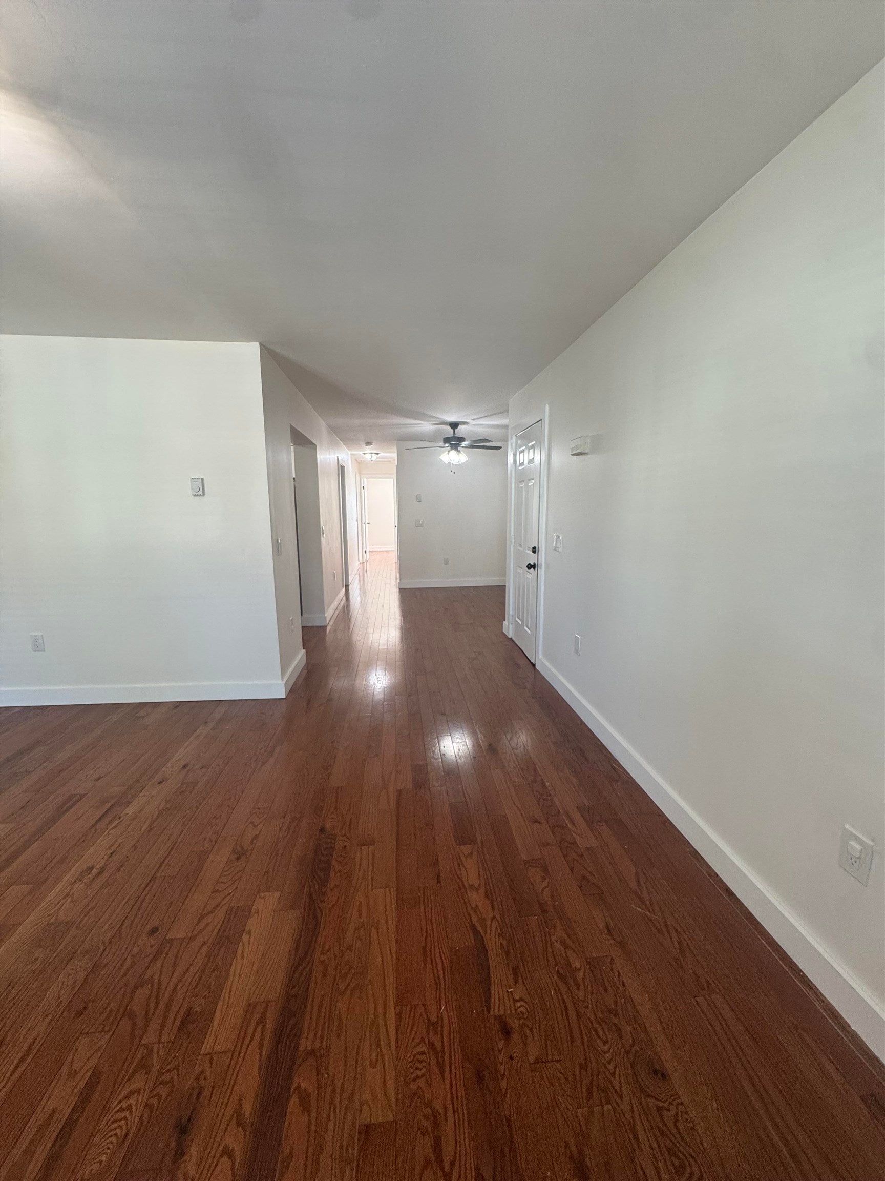 123 ORIENT AVE - Photo 4