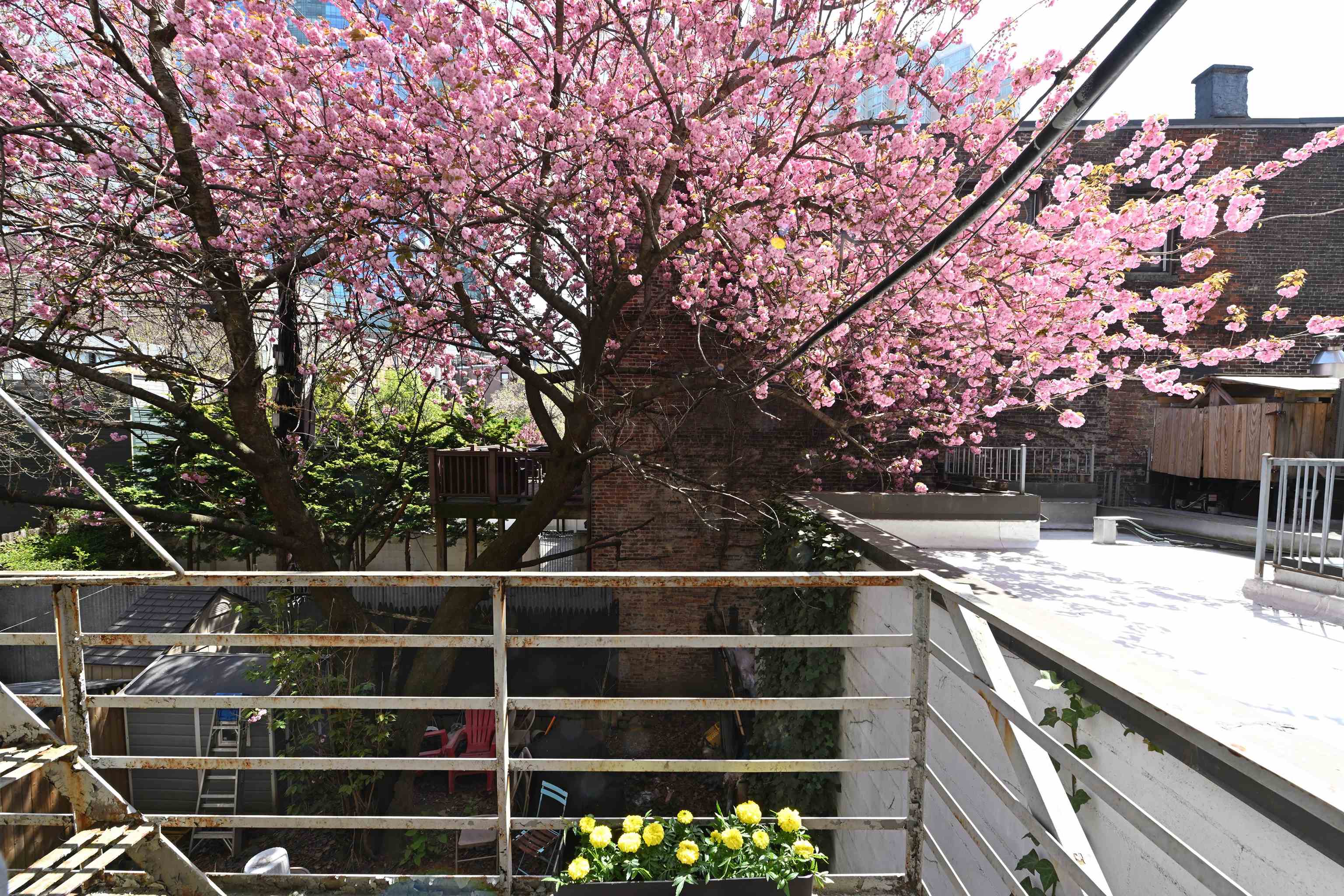 204 Washington St #2B, Jersey City, New Jersey image 13