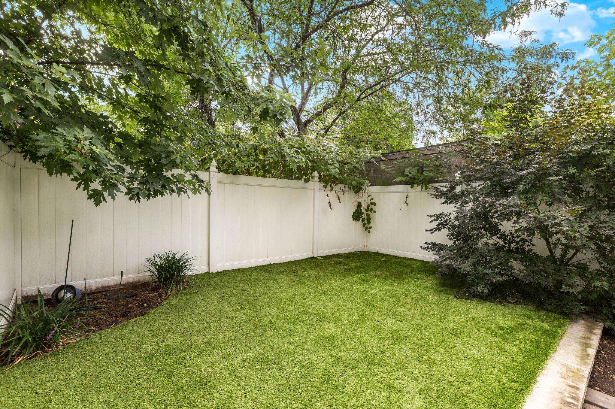 Search Homes 2 15 GRAHAM ST 1