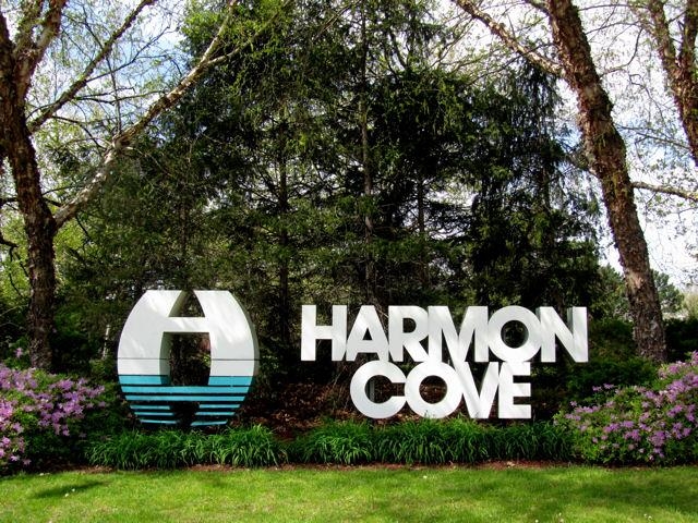 445 Dunlin Plaza #445, Secaucus, New Jersey image 12