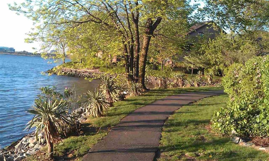 445 Dunlin Plaza #445, Secaucus, New Jersey image 19