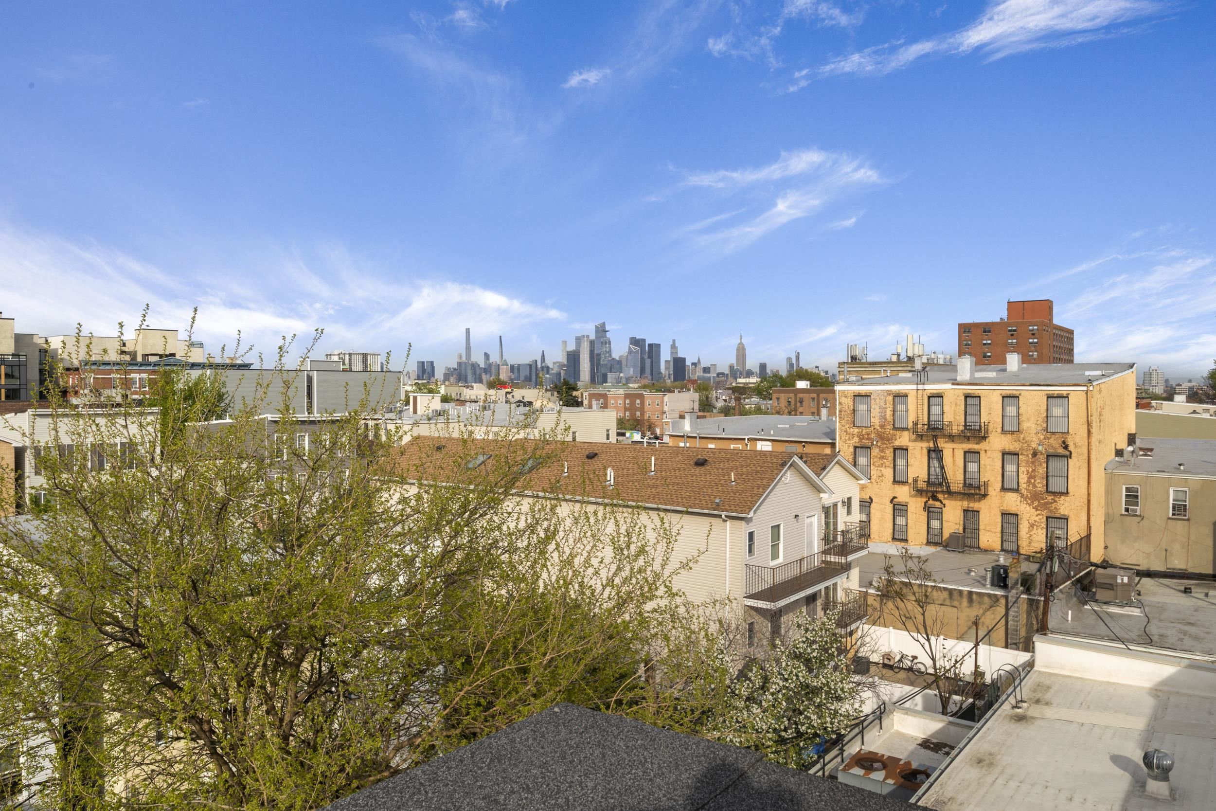 20 Zabriskie St #2, Jersey City, New Jersey image 18