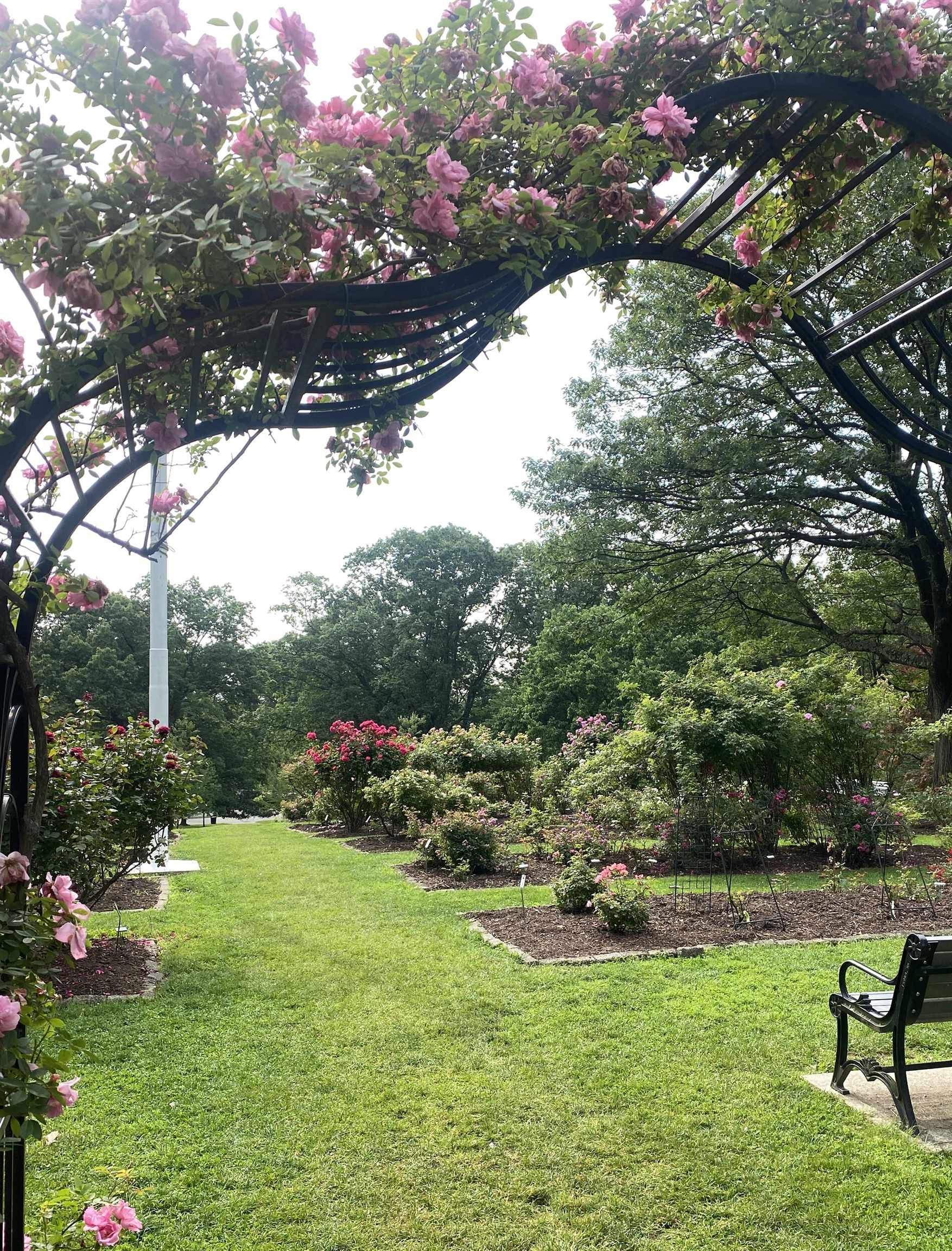 47 Darling Ave, Bloomfield, New Jersey image 19