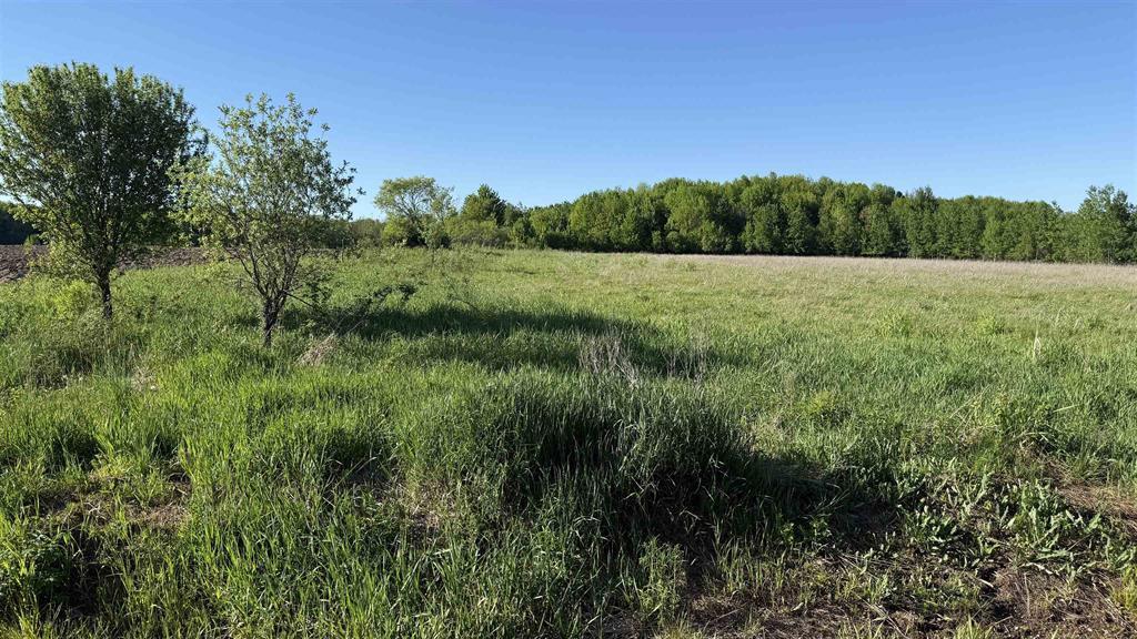 Photo of Lot 1 County Road Z, Ringle, WI 54471 (MLS # 22605391)