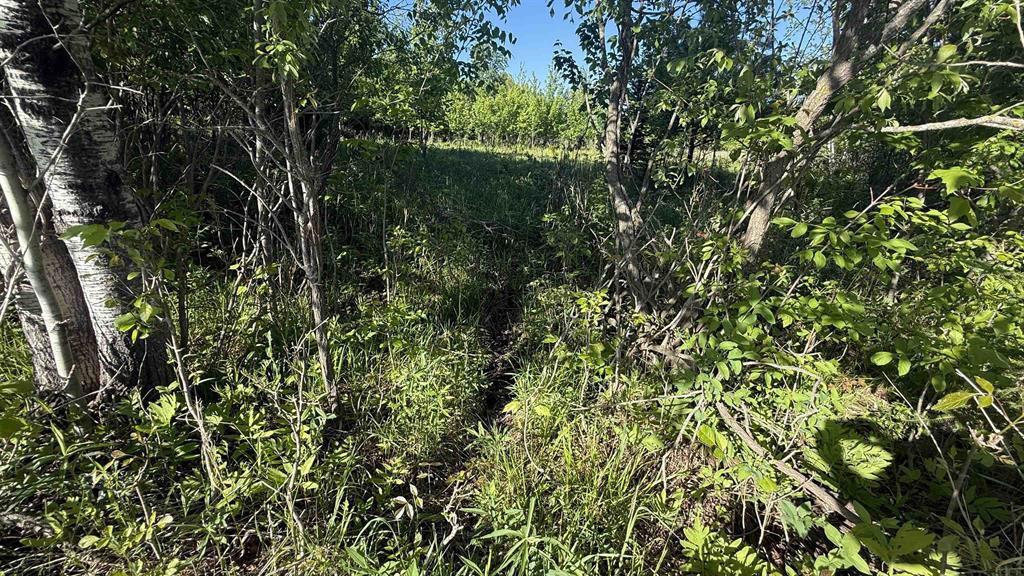Photo of Lot 1 County Road Z, Ringle, WI 54471 (MLS # 22605391)