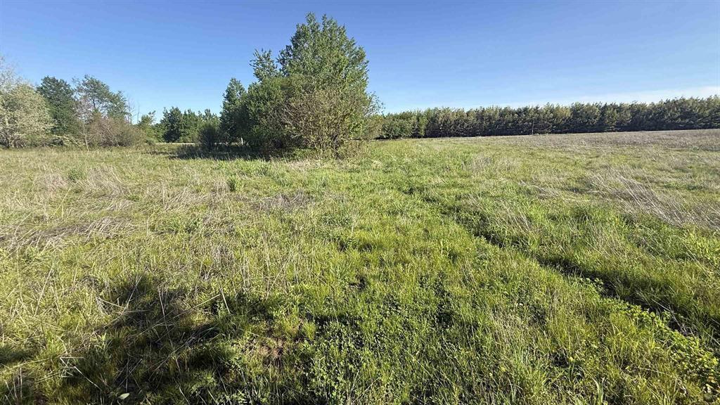 Photo of Lot 1 County Road Z, Ringle, WI 54471 (MLS # 22605391)