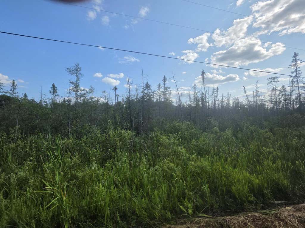 Photo of 30.99 Acre Broennenberg ROAD, Wausaukee, WI 54177 (MLS # 1973569)