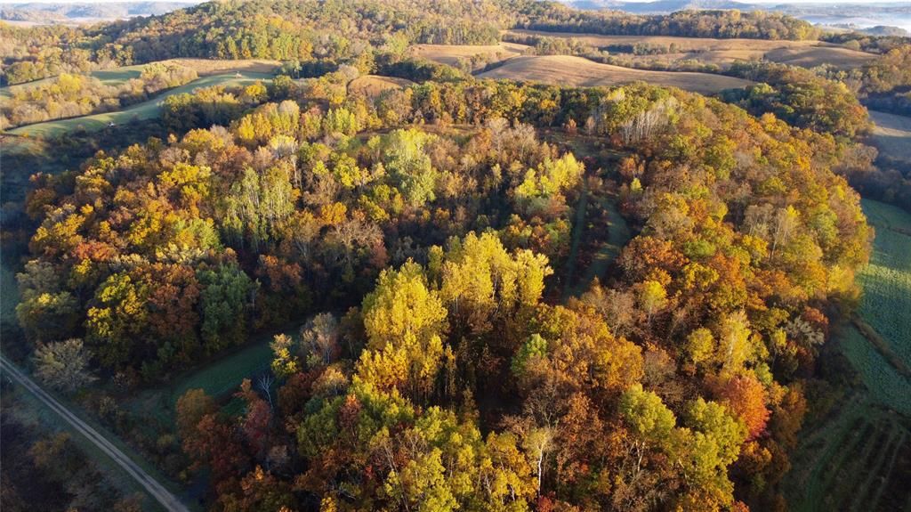 Photo of N35194 Przybilla LANE, Independence, WI 54747 (MLS # 1599777)