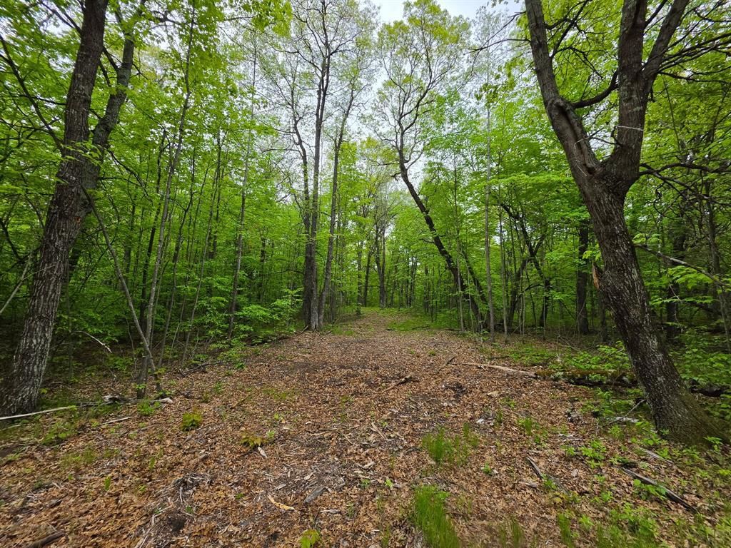 Photo of 27735 295th AVENUE, Holcombe, WI 54745 (MLS # 1597799)