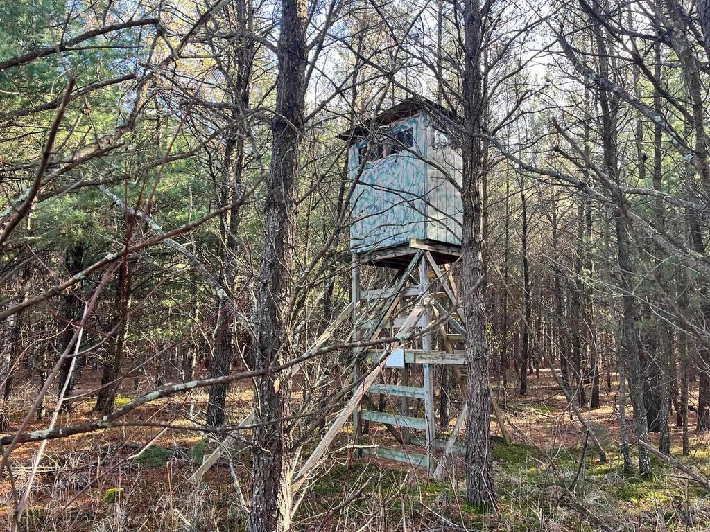 Photo of 1035 Beaver AVENUE, Nekoosa, WI 54457 (MLS # 2011397)