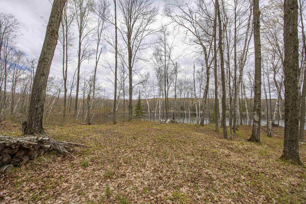 Photo of 6870 Little Long Lake LANE, Wabeno, WI 54566 (MLS # 50325360)