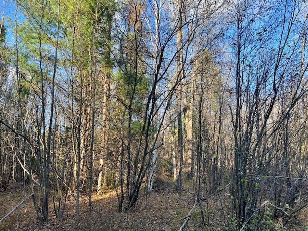 Photo of Barker ROAD, Amberg, WI 54102 (MLS # 50320338)