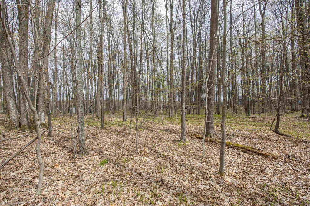 Photo of Little Long Lake LANE, Wabeno, WI 54566 (MLS # 50325359)