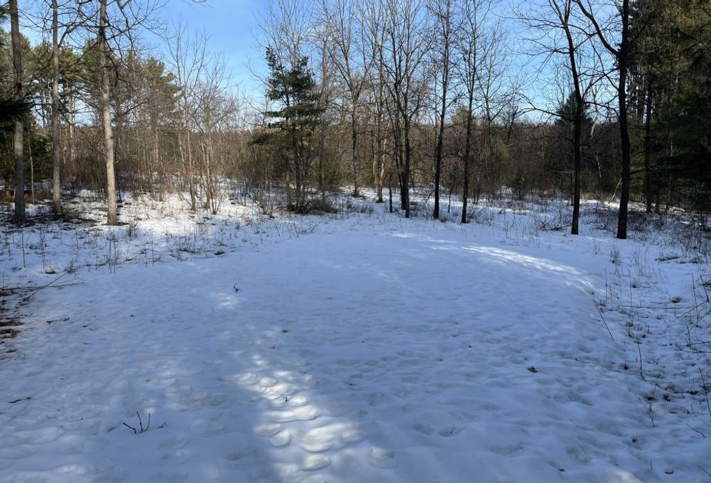 Photo of Evergreen DRIVE, Wautoma, WI 54982 (MLS # 50321494)