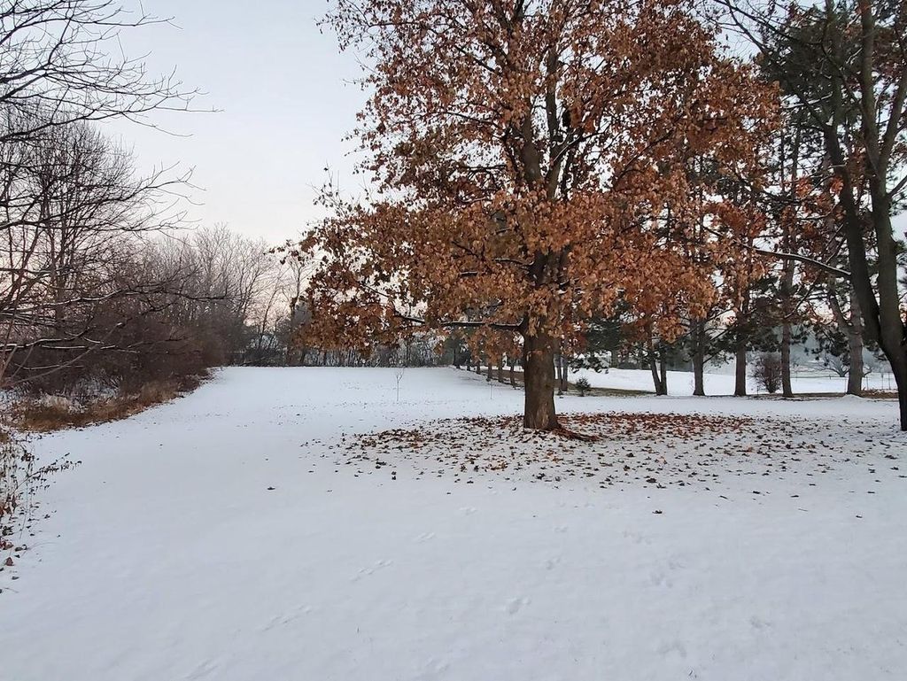 Photo of 476 N Bridge STREET, Manawa, WI 54949 (MLS # 50318397)