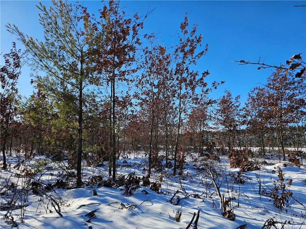 Photo of 0 County Highway E, Elk Mound, WI 54739 (MLS # 1597568)