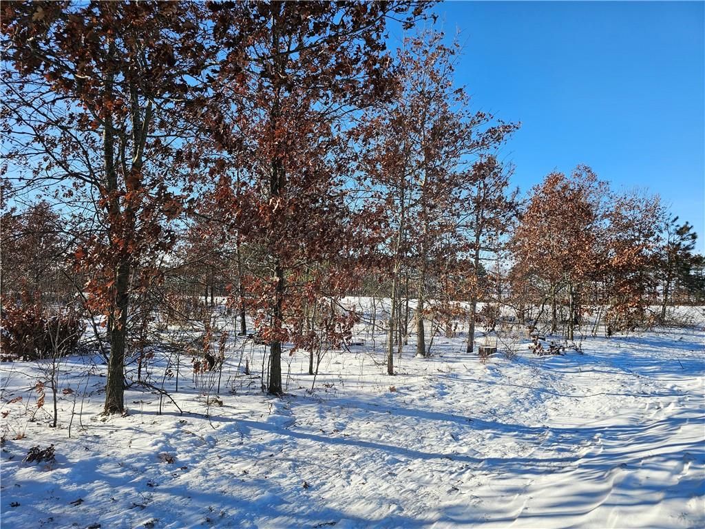 Photo of 0 County Highway E, Elk Mound, WI 54739 (MLS # 1597568)