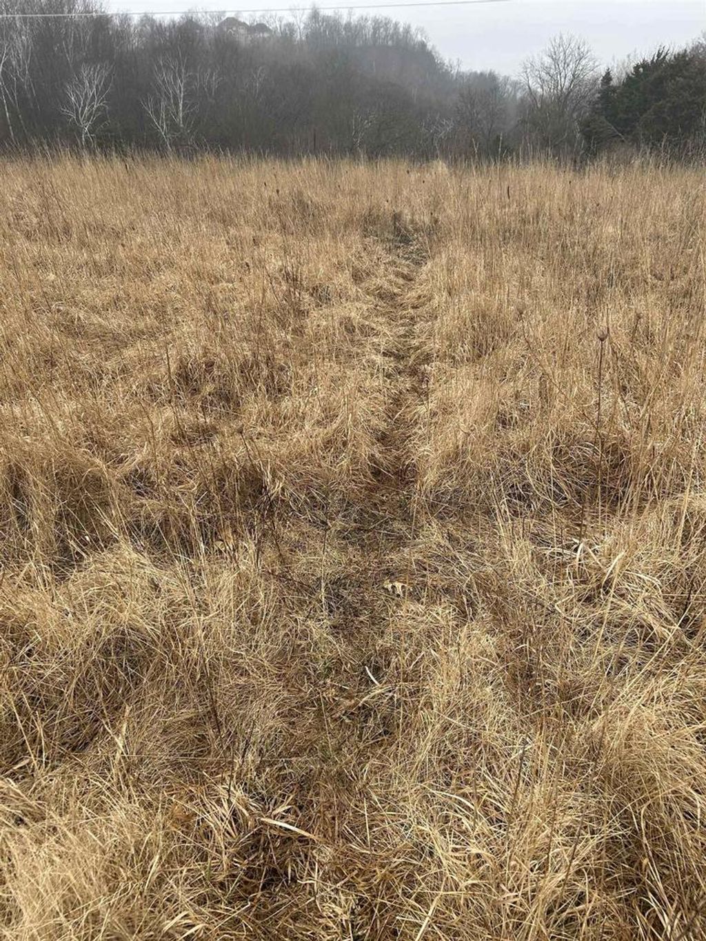 Photo of 3707 S Eckart STREET, Genoa, WI 54632 (MLS # 22600898)