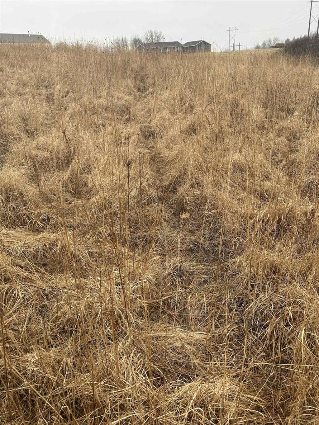 Photo of 3707 S Eckart STREET, Genoa, WI 54632 (MLS # 22600898)