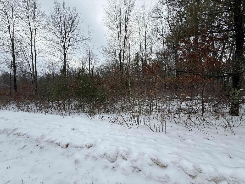 Photo of W1042 Mallard Bay COURT, Keshena, WI 54135 (MLS # 50319838)