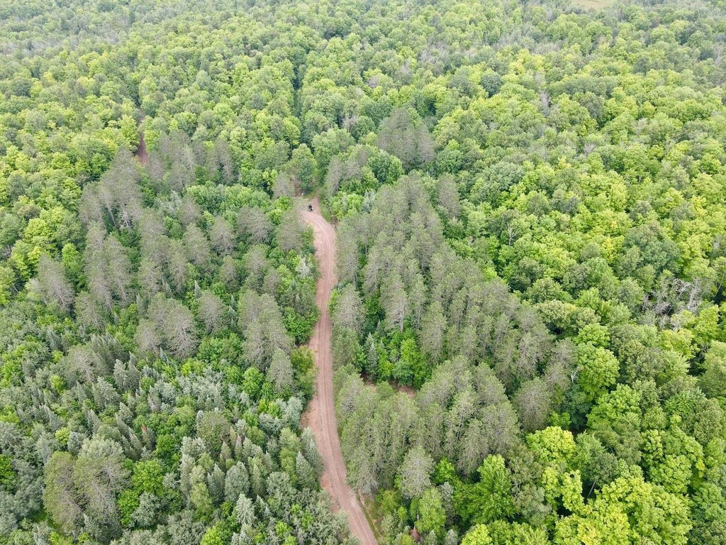 Photo of Lot 2 David ROAD, Gleason, WI 54435 (MLS # 22604370)