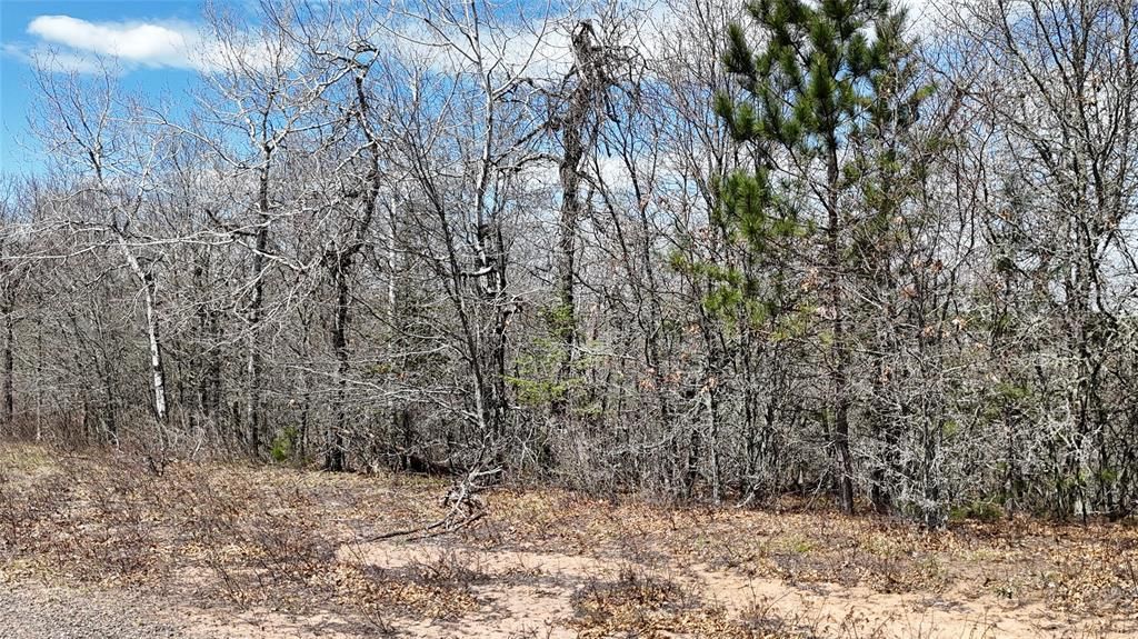 Photo of Lot 6 Secluded LANE, Gordon, WI 54838 (MLS # 1601075)