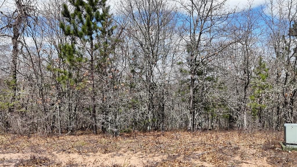 Photo of Lot 6 Secluded LANE, Gordon, WI 54838 (MLS # 1601075)