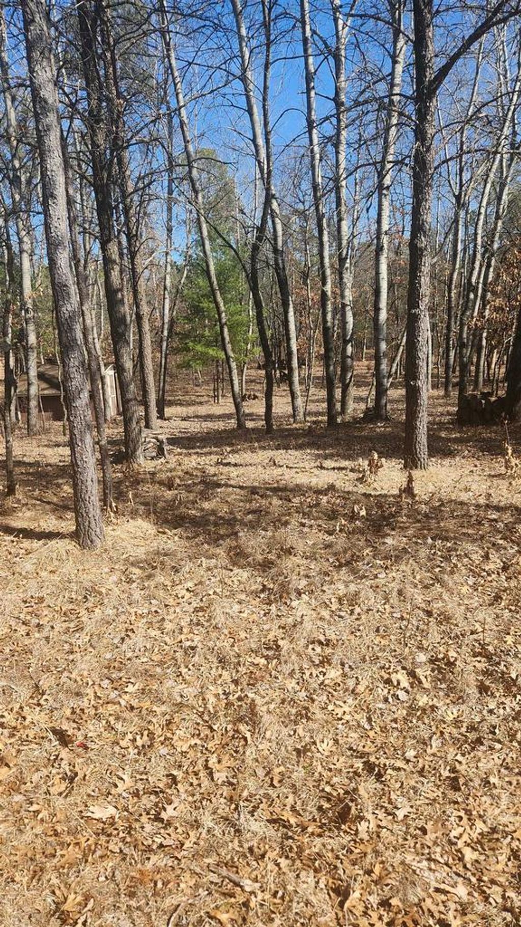 Photo of 1584 Kingswood TRAIL, Nekoosa, WI 54457 (MLS # 2019394)