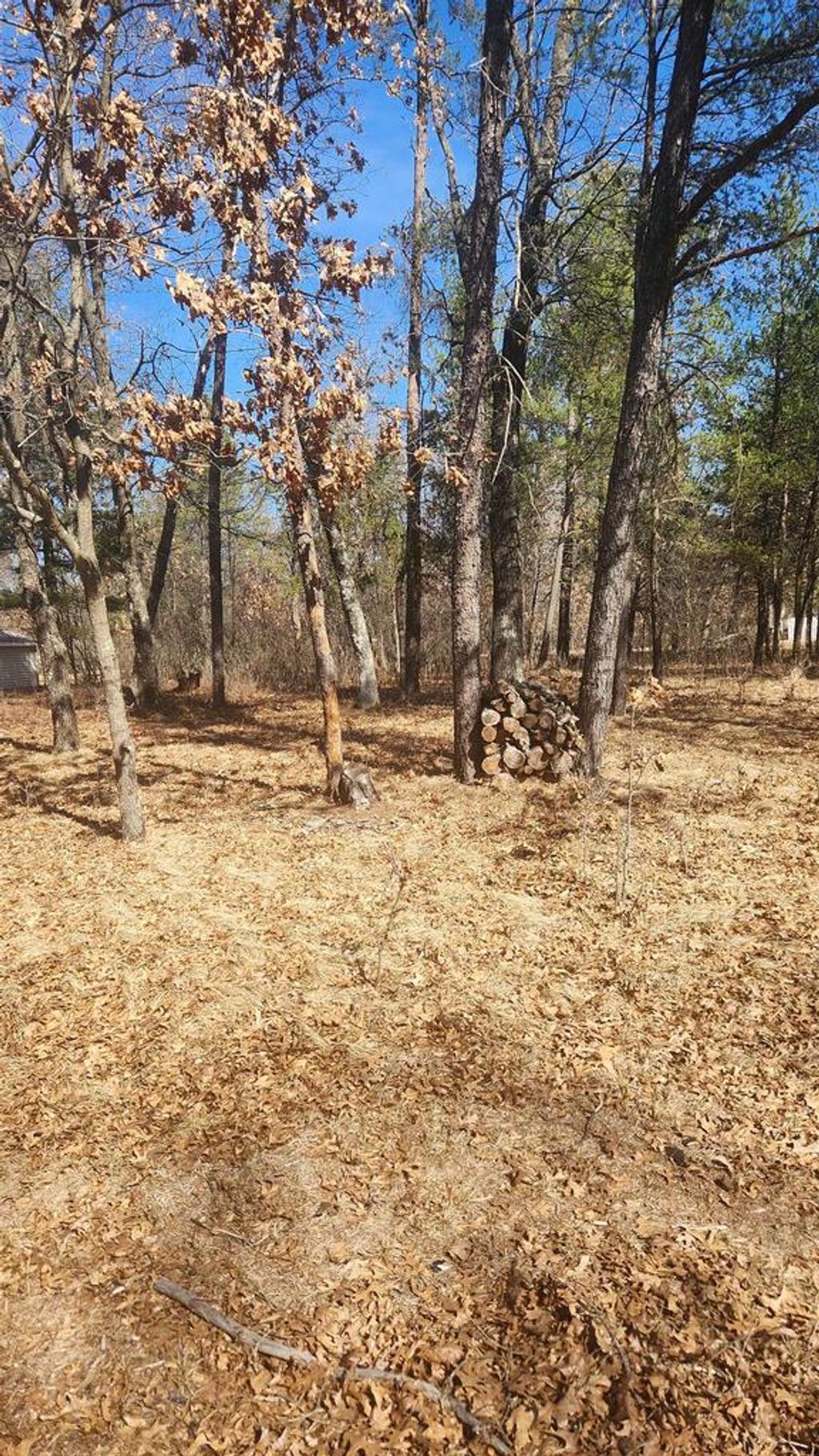 Photo of 1584 Kingswood TRAIL, Nekoosa, WI 54457 (MLS # 2019394)