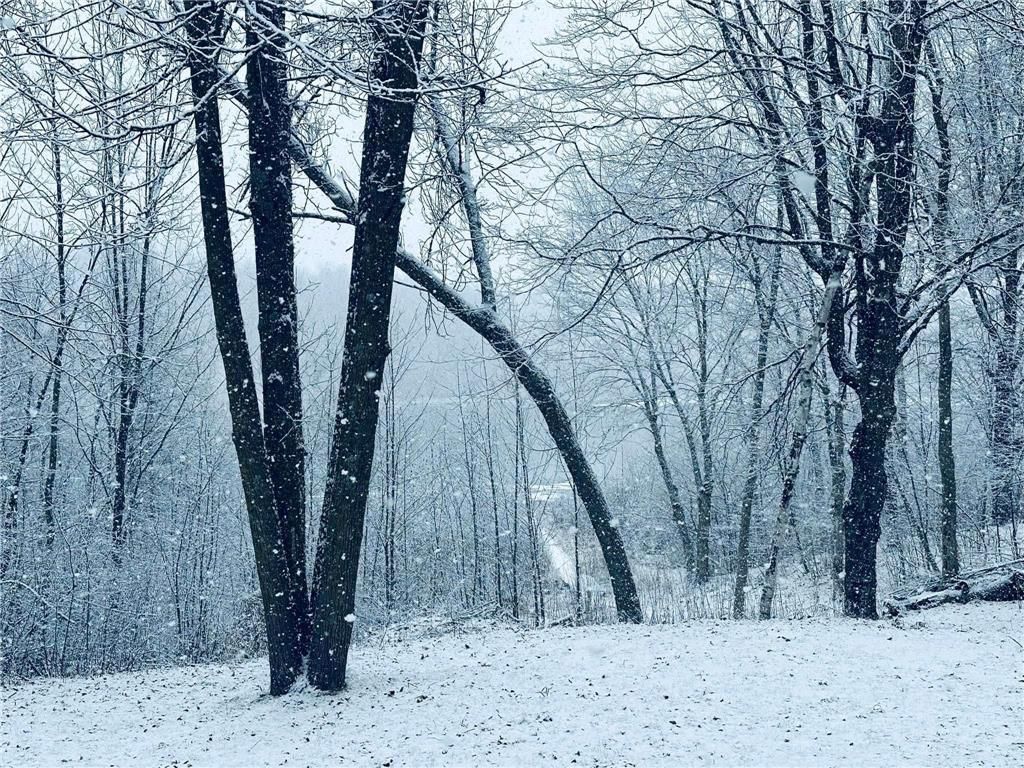 Photo of 2473 27 1/2 STREET, Rice Lake, WI 54868 (MLS # 7006862)