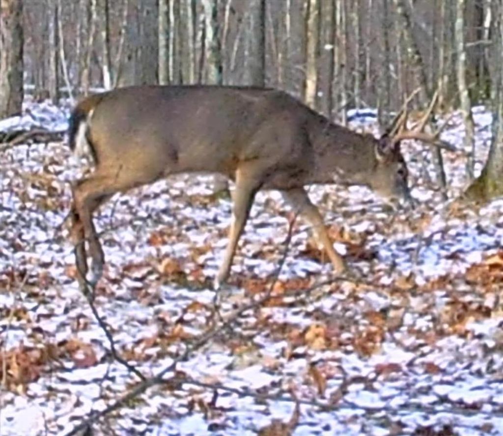 Photo of XXX W Eckel Lane LANE, Couderay, WI 54835 (MLS # 1603143)