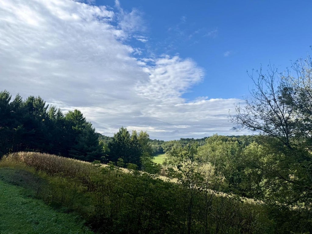 Photo of 15 Acres Ozone ROAD, Elroy, WI 53929 (MLS # 2033212)