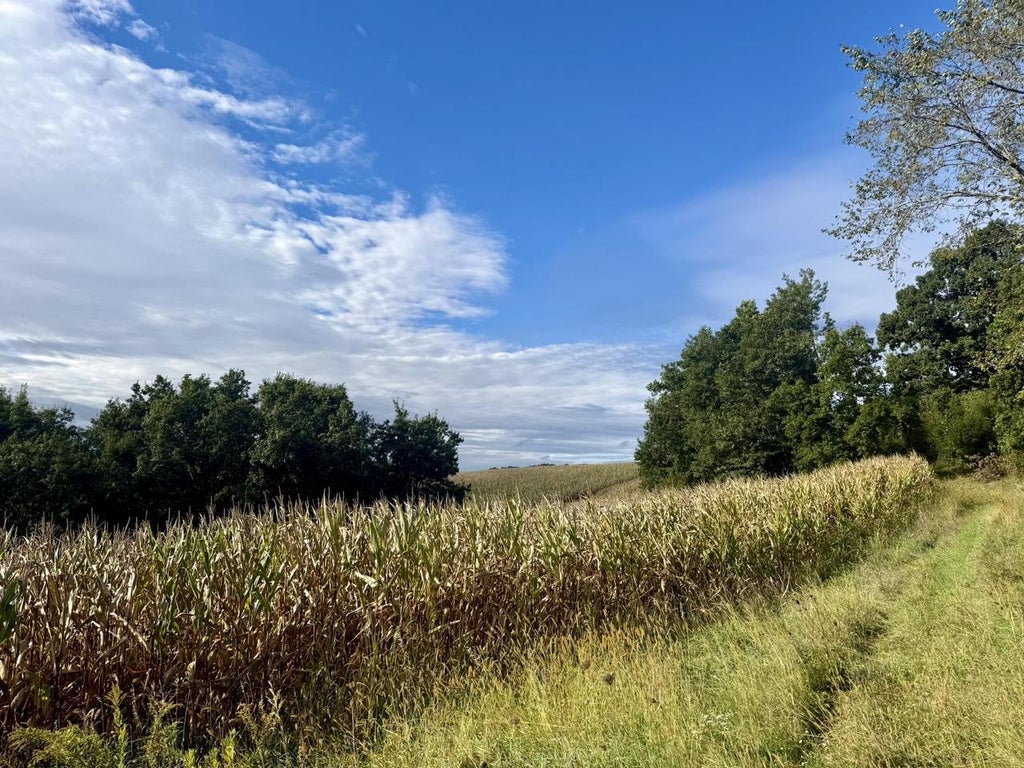 Photo of 15 Acres Ozone ROAD, Elroy, WI 53929 (MLS # 2033212)