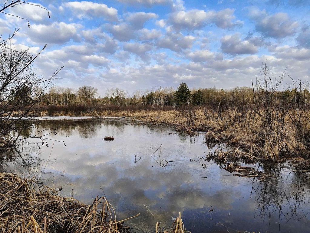 Photo of 7223 County Highway V, Marshfield, WI 54449 (MLS # 2016869)