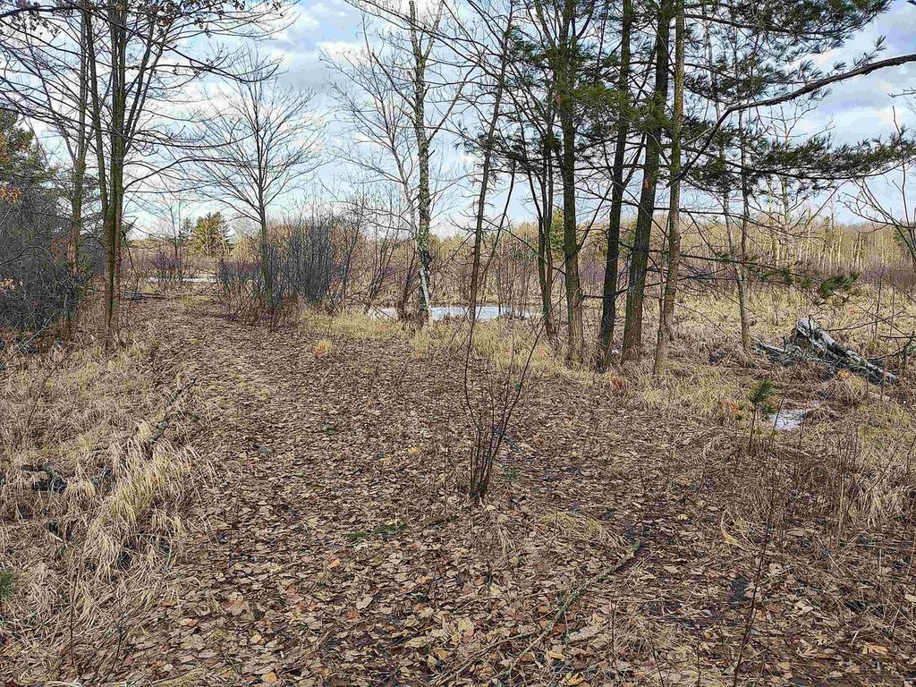 Photo of 7223 County Highway V, Marshfield, WI 54449 (MLS # 2016869)