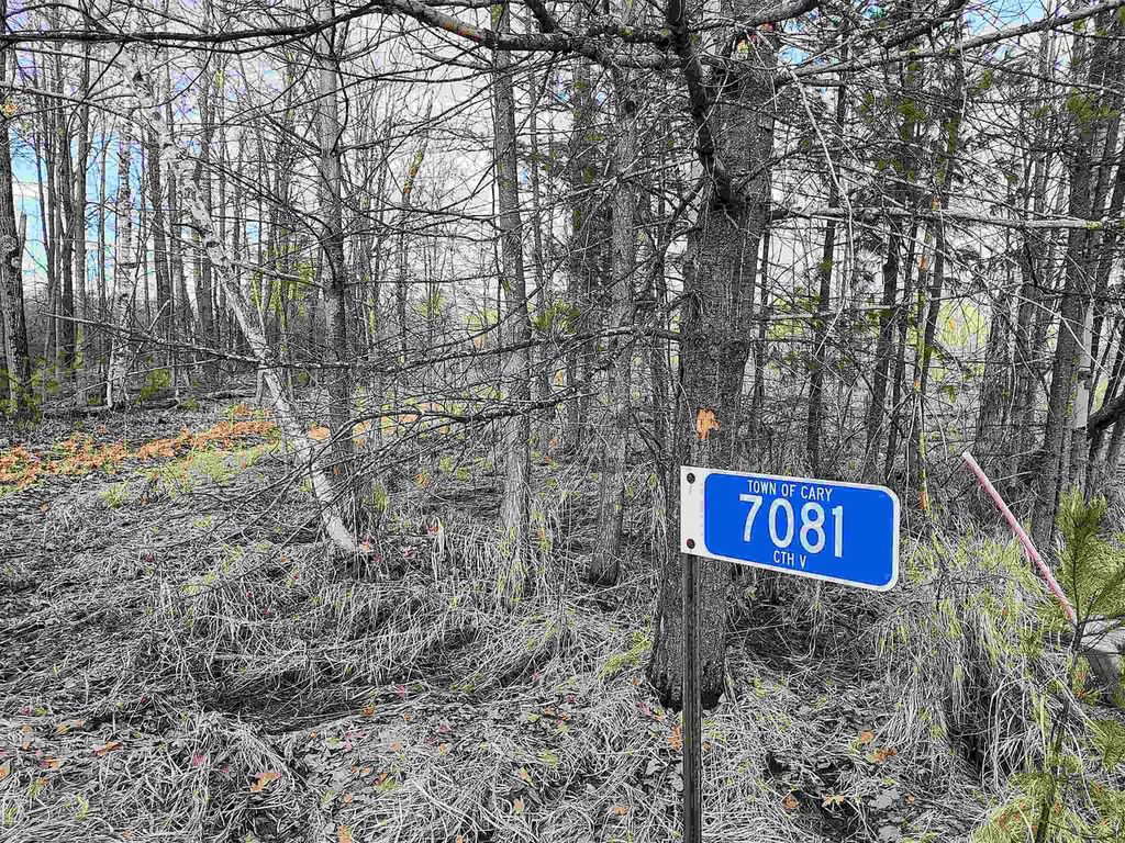 Photo of 7223 County Highway V, Marshfield, WI 54449 (MLS # 2016869)