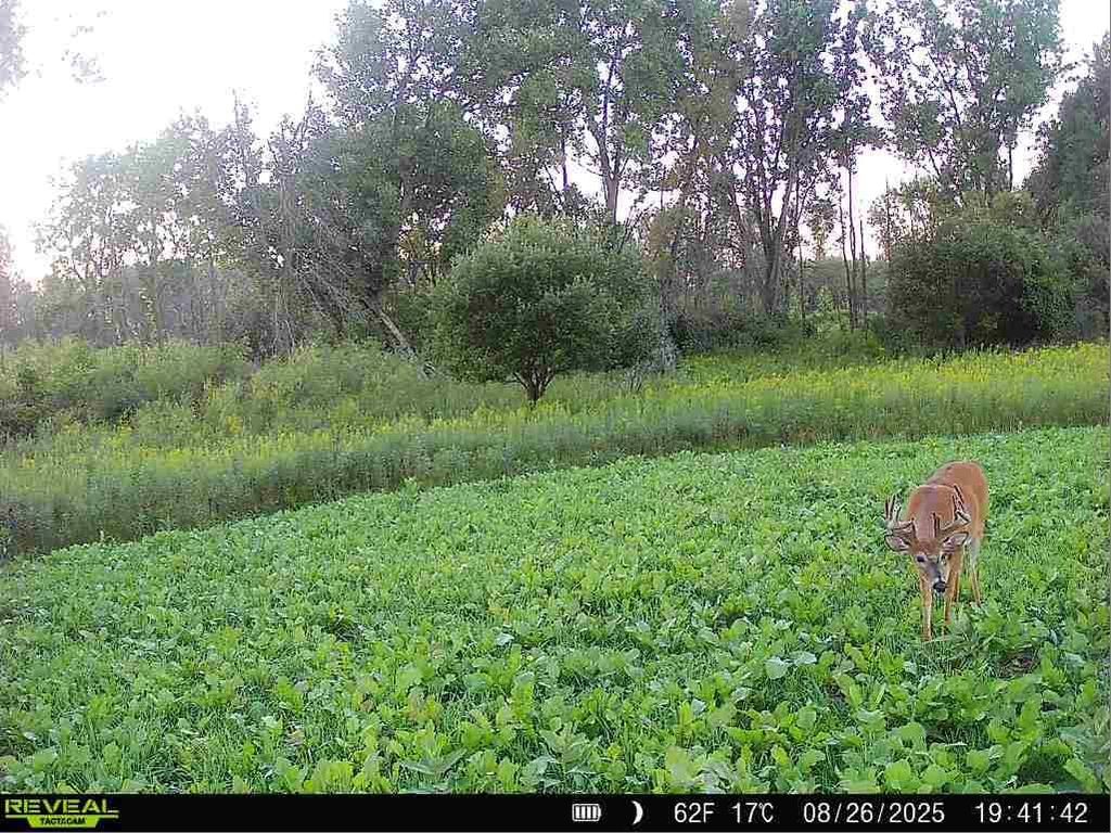 Photo of Low ROAD, Brussels, WI 54204 (MLS # 50324604)