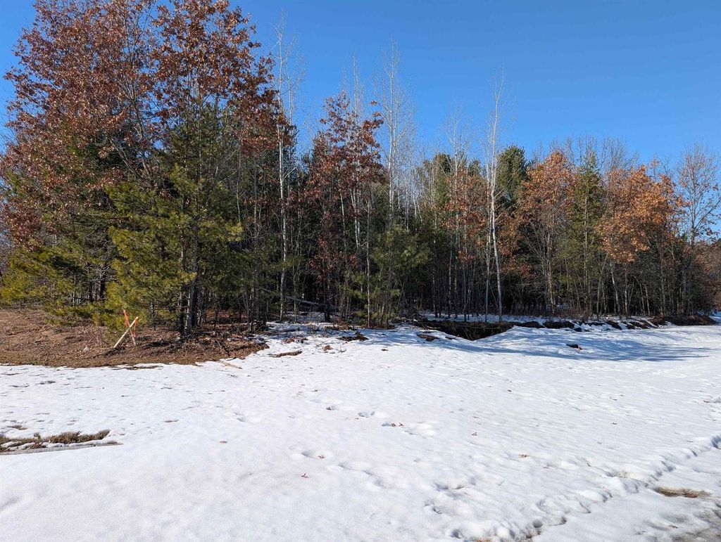 Photo of 3455 Ravenswood WAY #Lot 89, Plover, WI 54467 (MLS # 22600620)