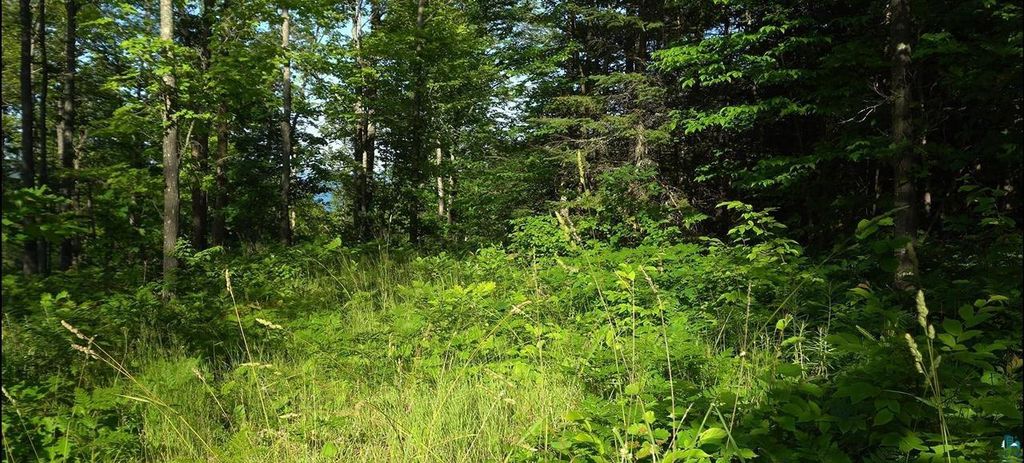 Photo of 83xxx Ashwabay Heights ROAD, Bayfield, WI 54814 (MLS # 6125086)
