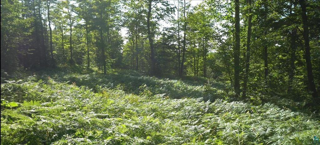 Photo of 83xxx Ashwabay Heights ROAD, Bayfield, WI 54814 (MLS # 6125086)