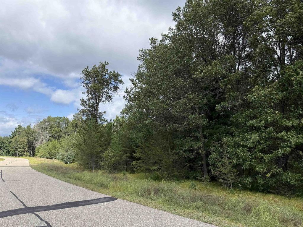 Photo of N8114 Baileys BOULEVARD, New Lisbon, WI 53950 (MLS # 2008292)