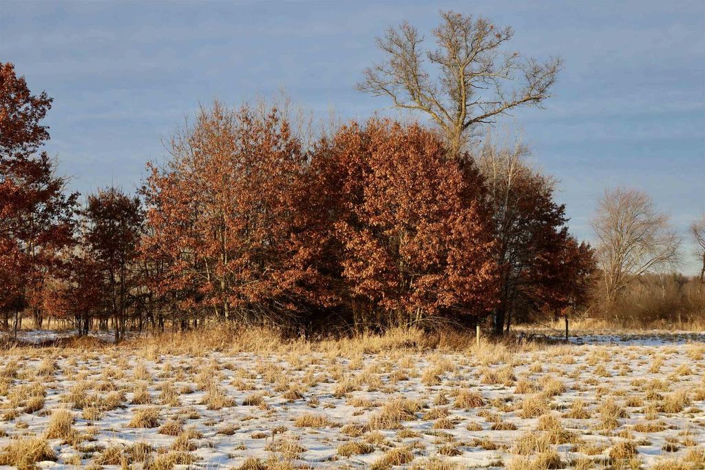 Photo of TBD 5th AVENUE, Camp Douglas, WI 54618 (MLS # 2014671)